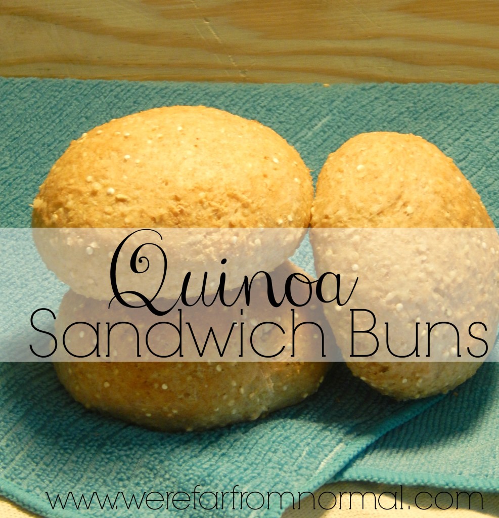 Quinoa Sandwich Buns Rolls