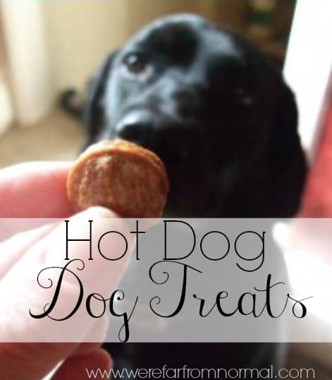 Here is a simple way to make your dog's treats out of hot dogs! My dogs love these and they are so easy to make!