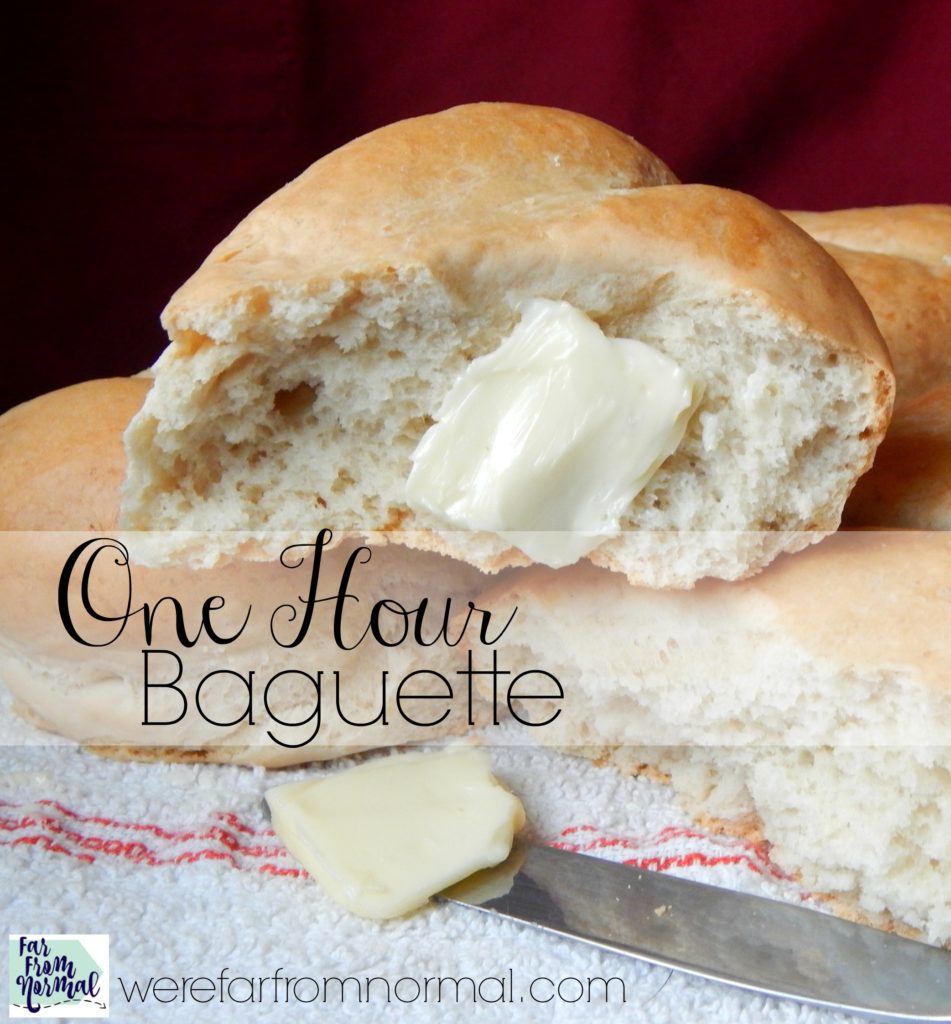 Want fresh bread with dinner tonight? Make this one hour baguette! It is so easy and super tasty, perfect with any meal!