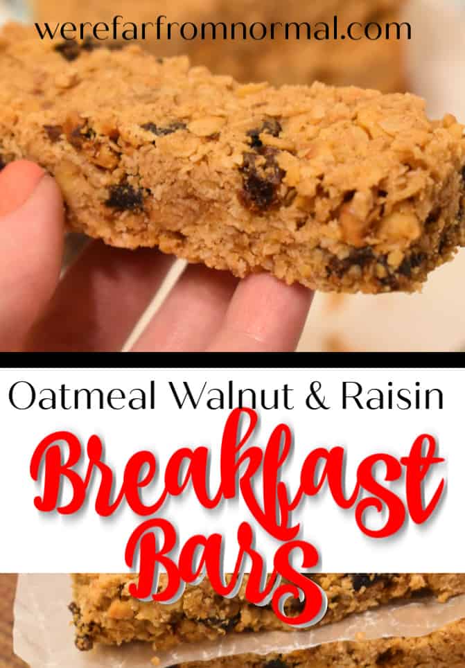 oatmeal raisin breakfast bars 