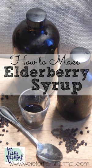 How to Make Elderberry Syrup - Far From Normal