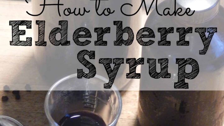 Image for How to Make Elderberry Syrup
