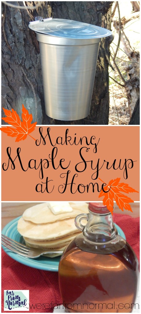 I've always wanted to make maple syrup!! Even if you only have one maple tree you can make syrup at home, it's such a fun project to do with kids & the results are delicious!