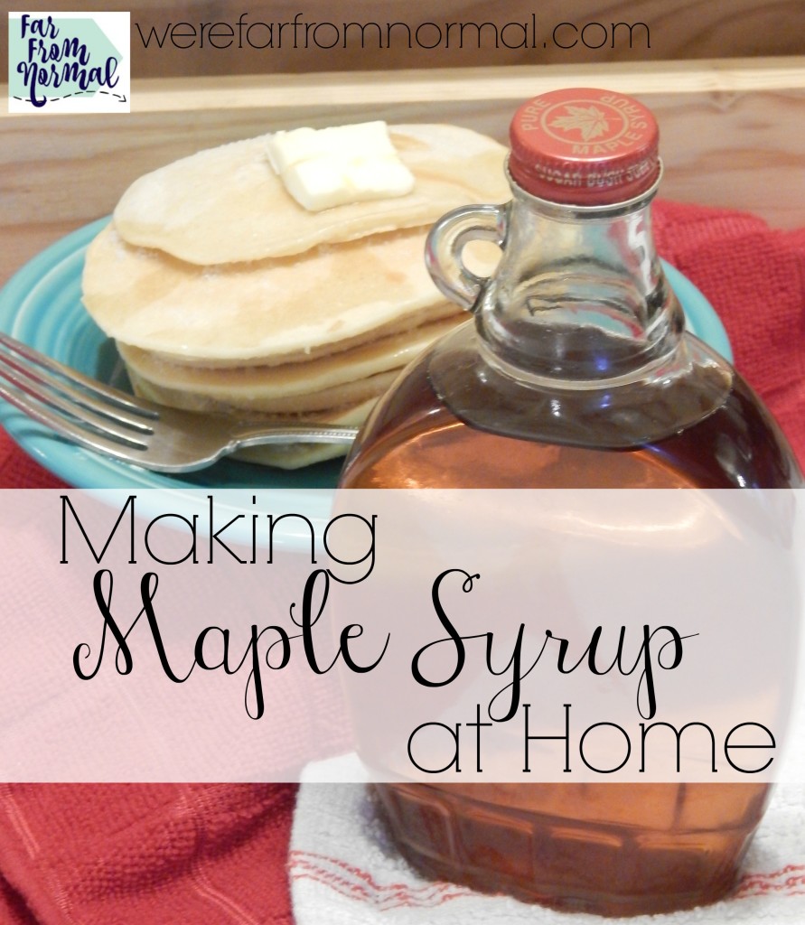 Making maple syrup is such a fun activity! Even if you only have one maple tree you can tap it an make delicious homemade syrup!
