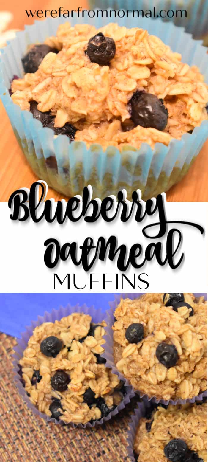 Blueberry Oatmeal Muffins - Far From Normal