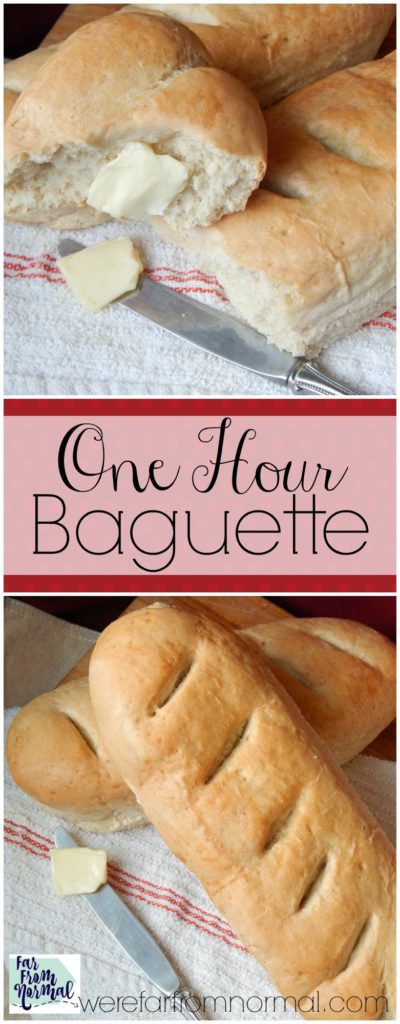Can you believe this bread is ready in an hour! It is so delicious and so easy to make! Have fresh bread with dinner tonight!
