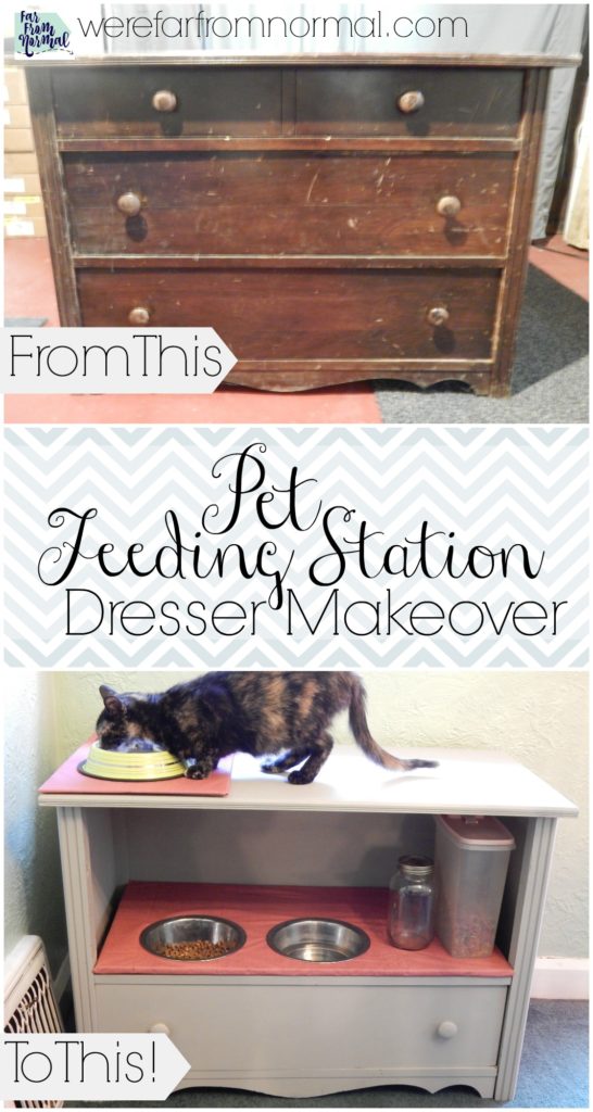 Check out this transformation!! Such a great way to make an old ugly dresser into something pretty & useful!