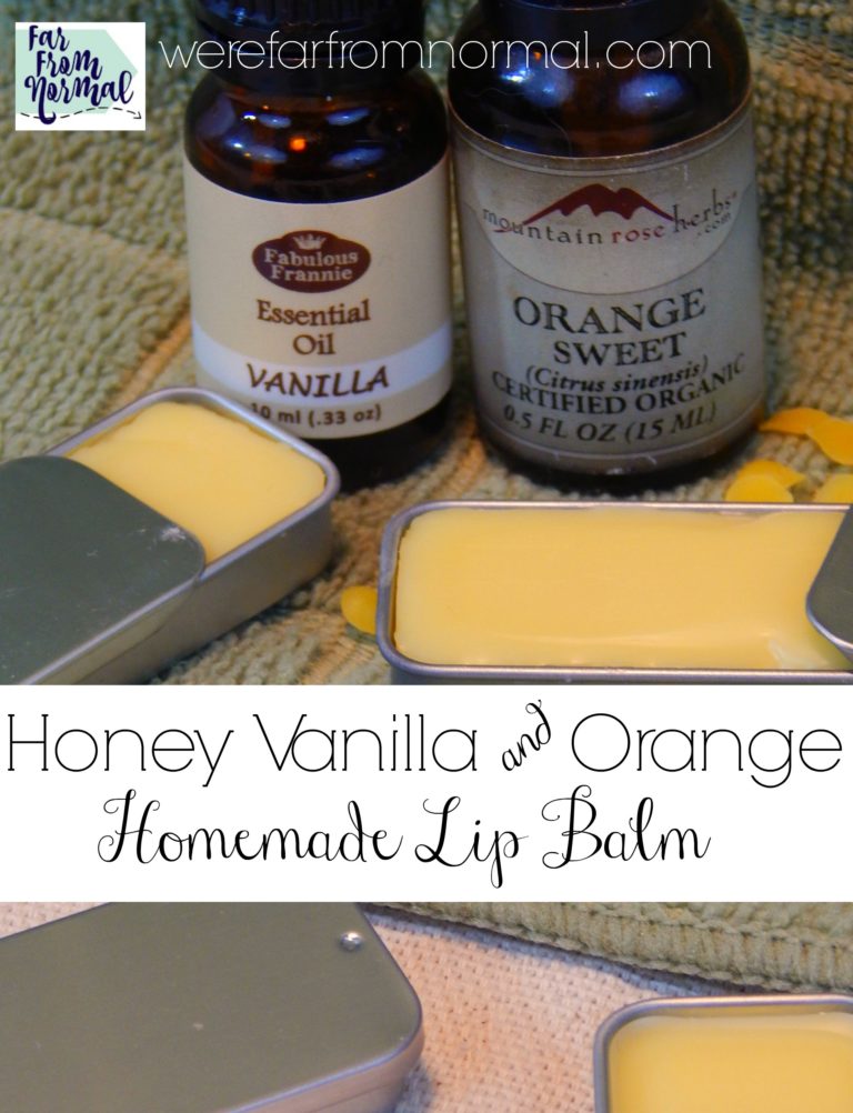 DIY Homemade Honey Orange & Vanilla Lip Balm