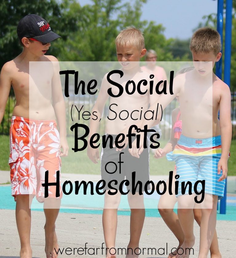 The Social ( Yes, SOCIAL) Benefits of Homeschooling