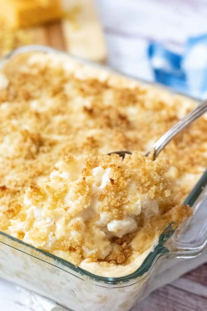 A glass pan full of macaroni topped with bread crumbs. 