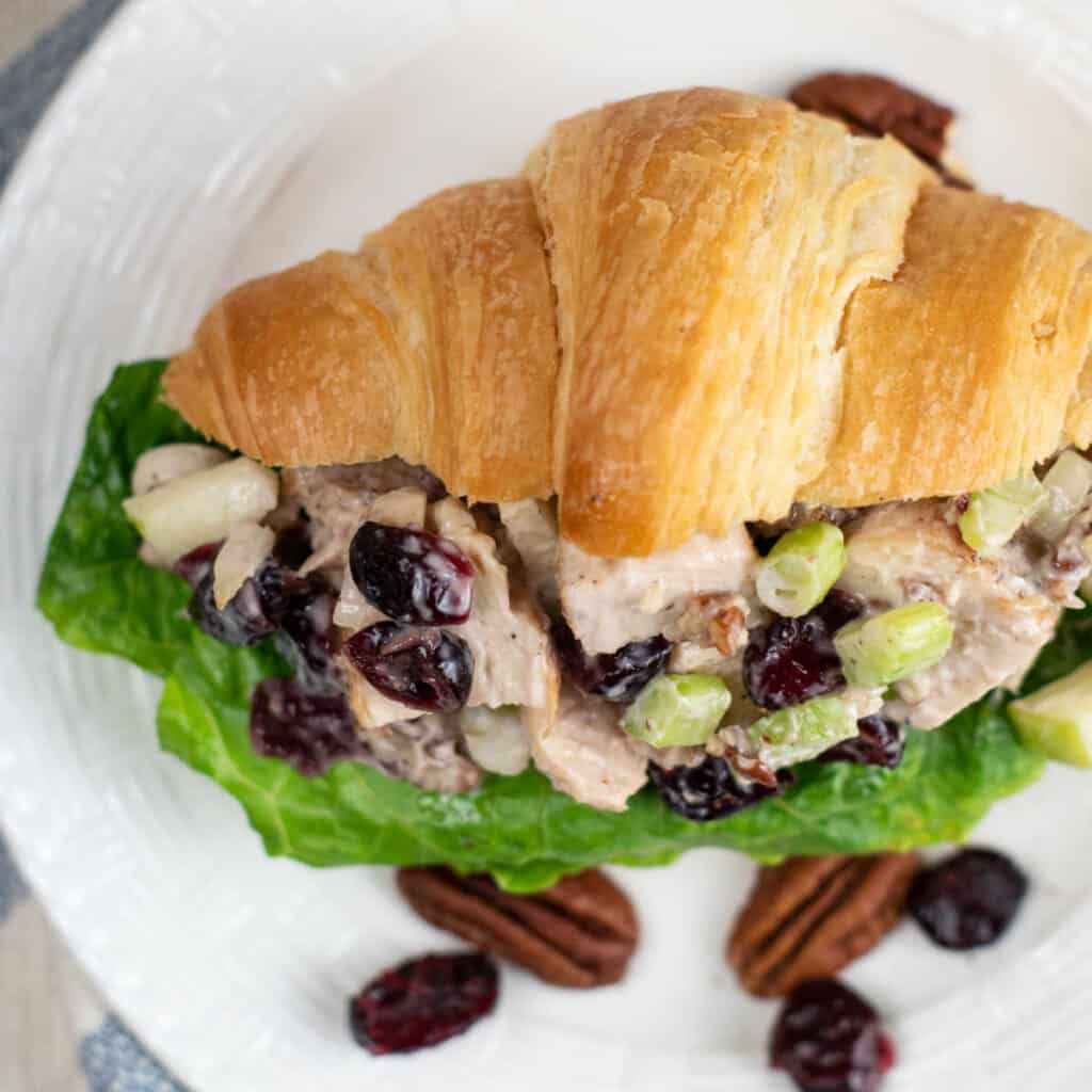 A croissant with cranberry pecan chicken salad on it. 