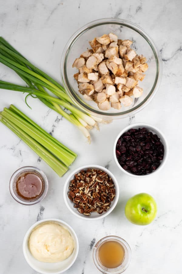 The ingredients for cranberry pecan chicken salad. Cooked chicken, green onions, celery, dried cranberries, pecans, honey, mayonnaise, apple and apple cider vinegar.  