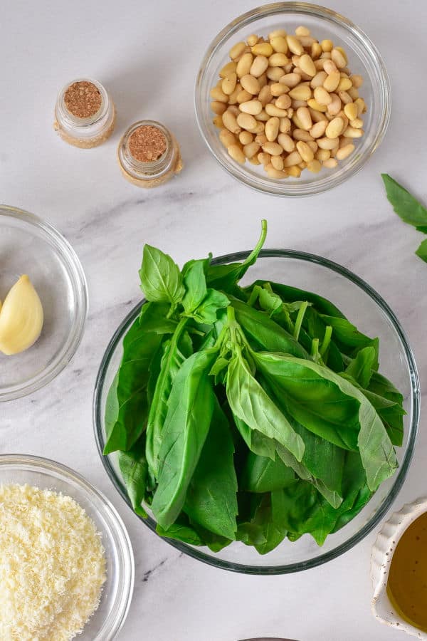The ingredients for easy homemade pesto. Basil, garlic, pine nuts, olive oil, parmesan, salt and pepper. 