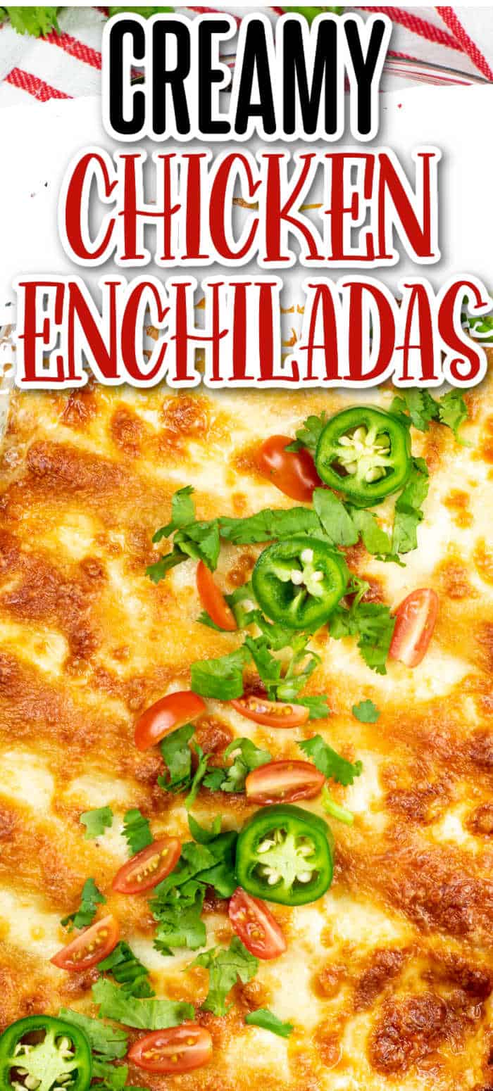 Easy Creamy White Chicken Enchiladas - Far From Normal