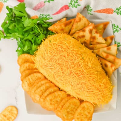 An overhead view of a carrot shaped cheese ball on a plate with a variety of crackers